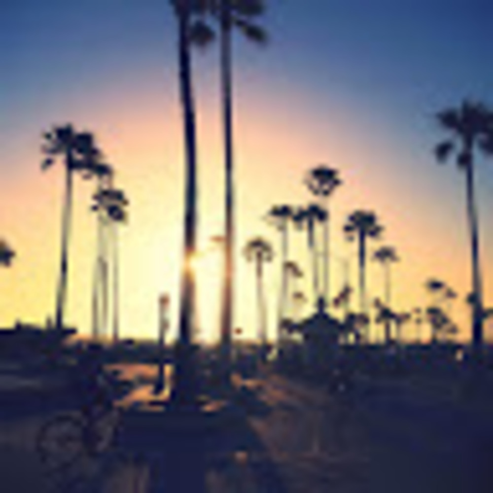 Meet your Posher, Zoey